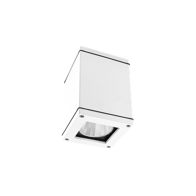 Q-CEILING - 1