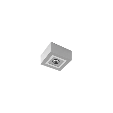 MIMIK 10 CEILING C/I