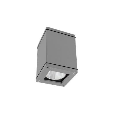 Q-CEILING - 1