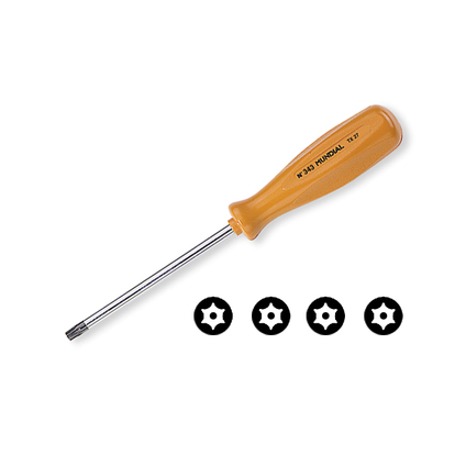 Stainless steel, anti-tamper locking screws