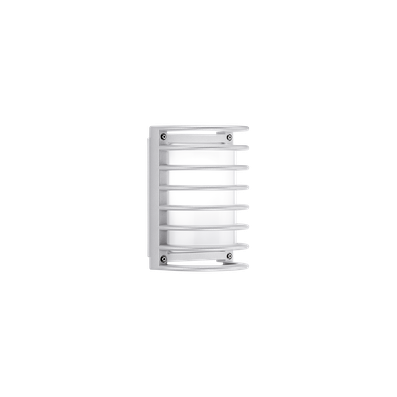 NIKKO+21/G LED - 1