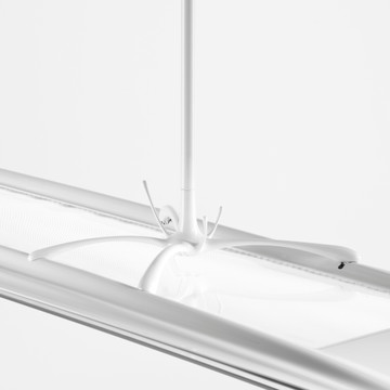 IN-TENSE PL M2 WHITE TR