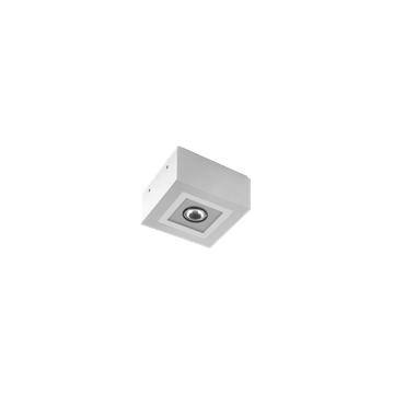 MIMIK 10 CEILING C/I