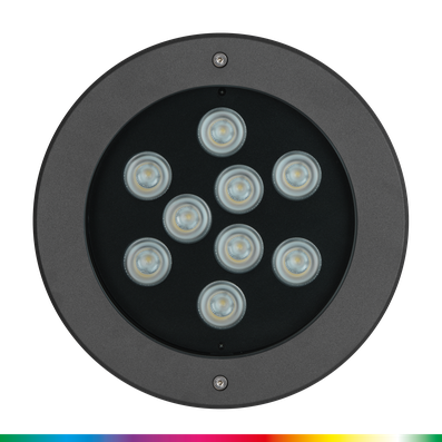 CRICKET+ 20 RGBW C/M - 2