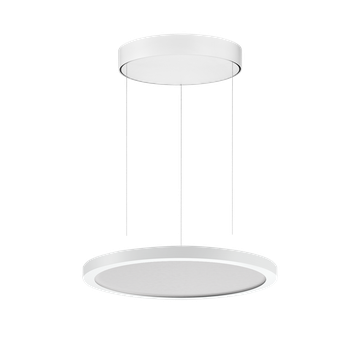 FL ROUND+ 333 PL MP DIRECT